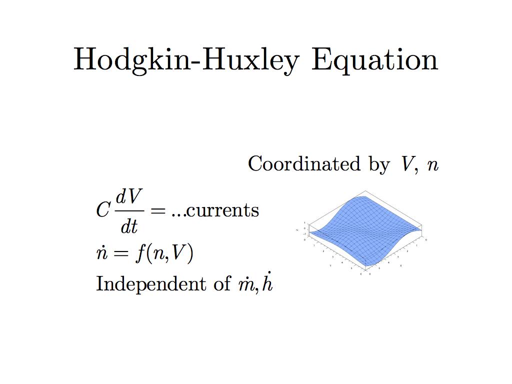 Hodgkin-Huxley Equation