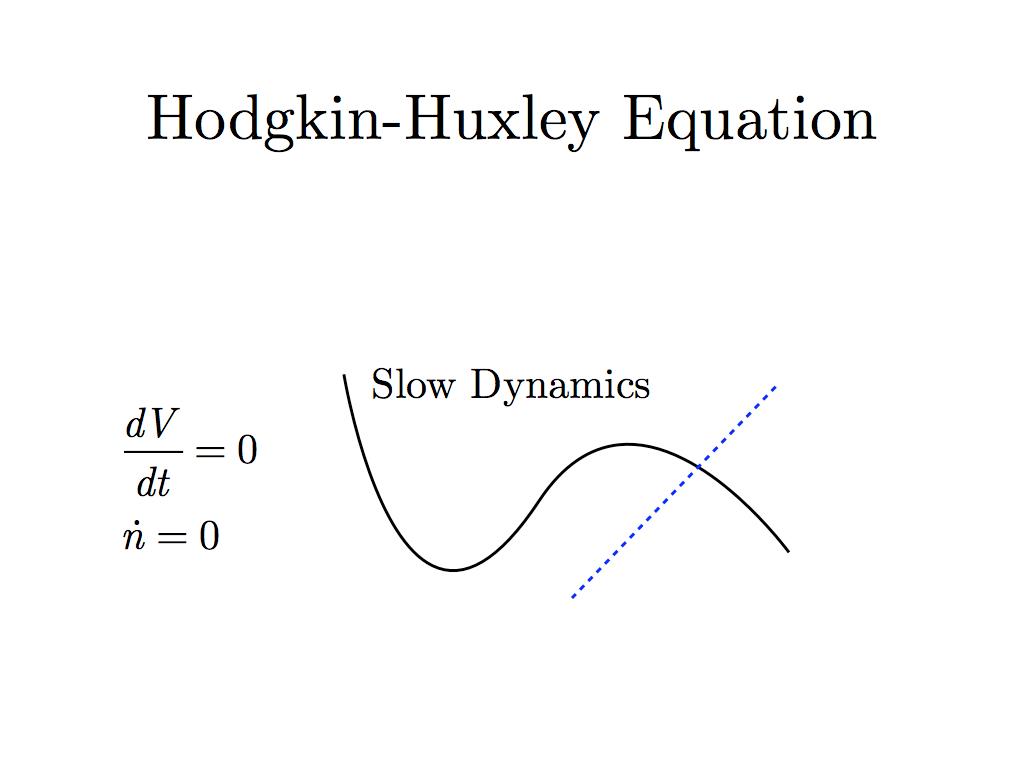 Hodgkin-Huxley Cont.