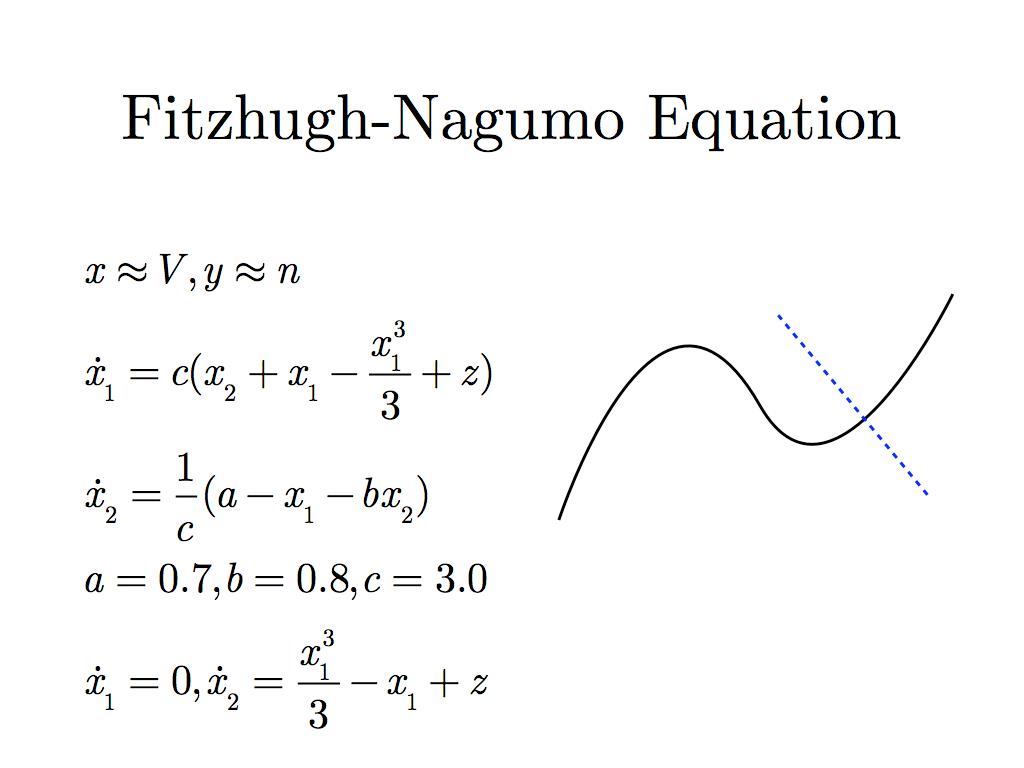 Fitzhugh-Nagumo Equation