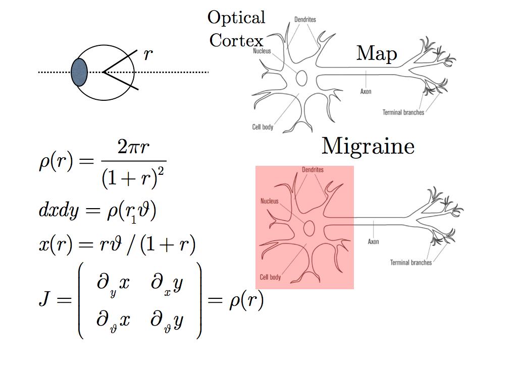 Optics and Neurons