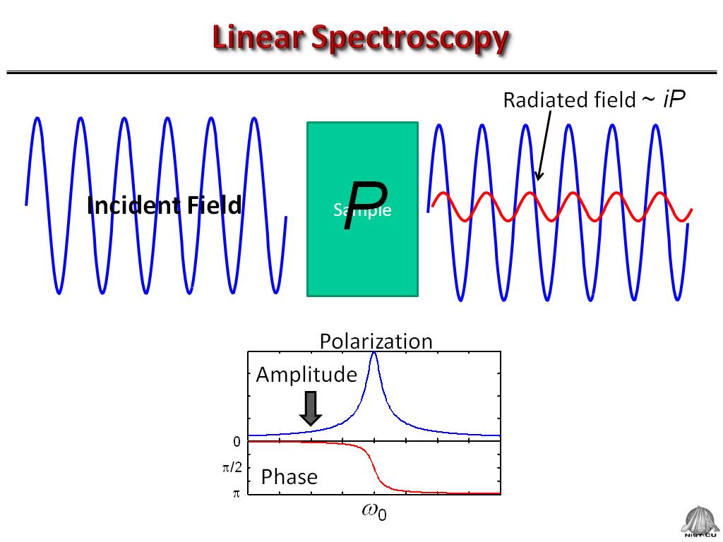 Linear Spectroscopy