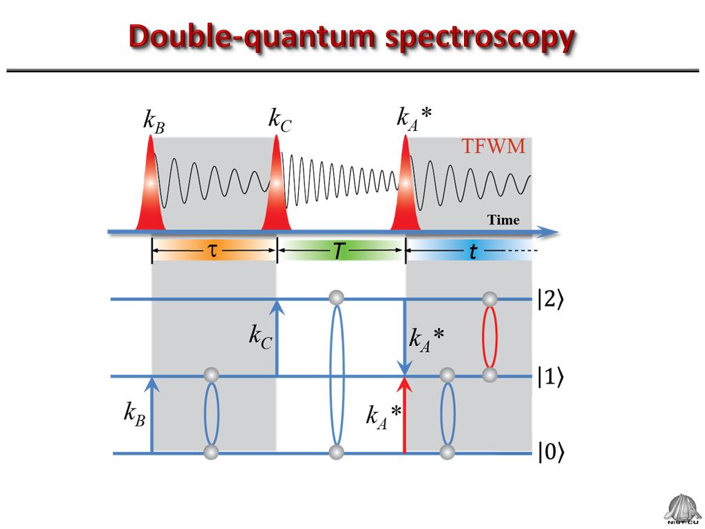 Double-quantum spectroscopy