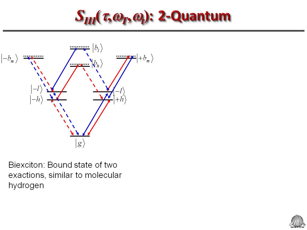 SIII(t,wT,wt): 2-Quantum
