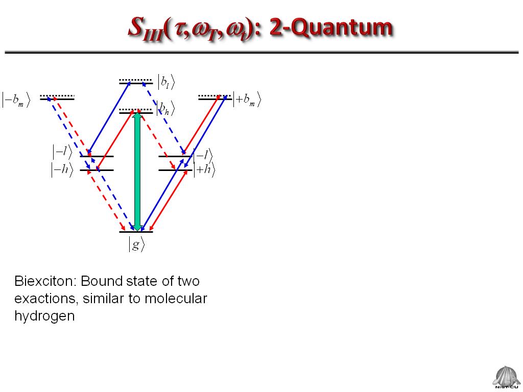 SIII(t,wT,wt): 2-Quantum