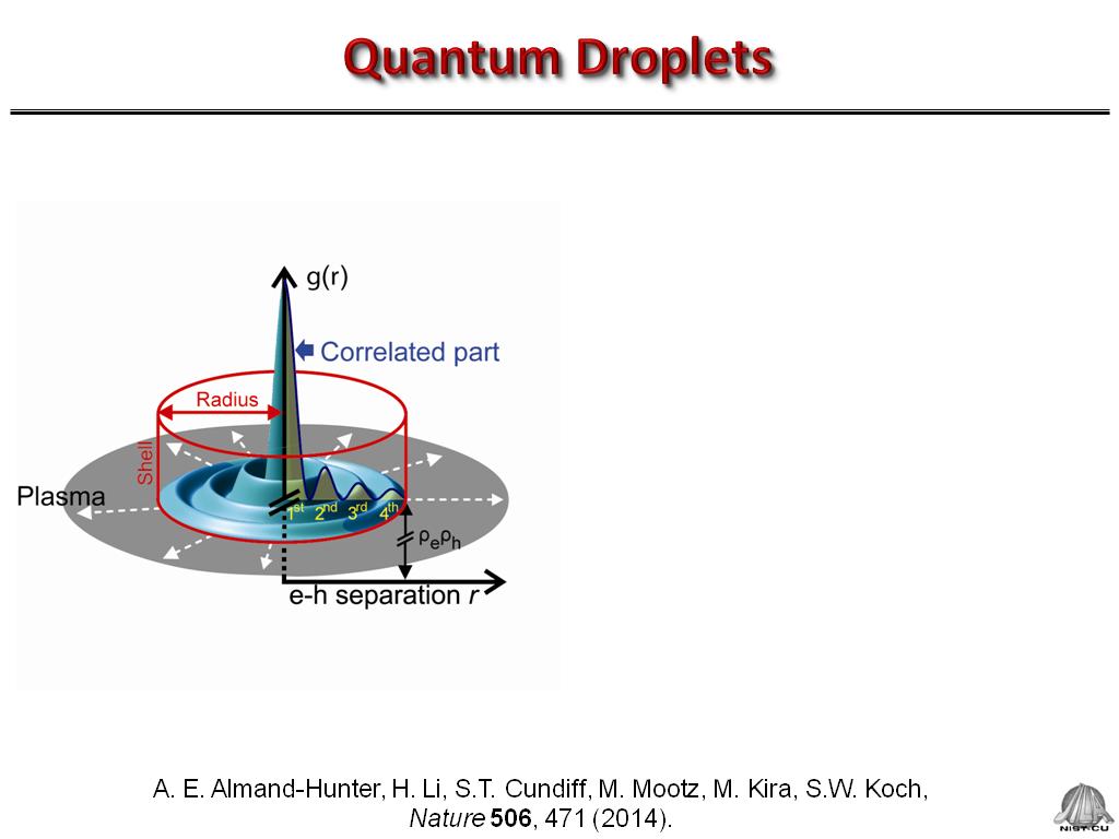 Quantum Droplets