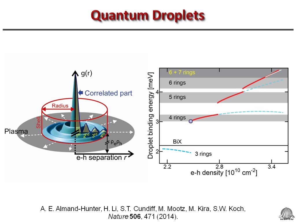 Quantum Droplets