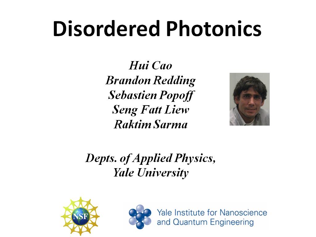 Disordered Photonics