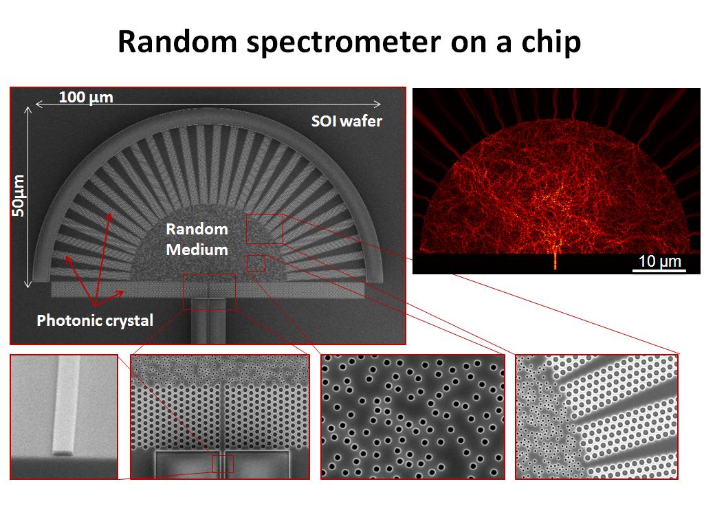 Random spectrometer on a chip