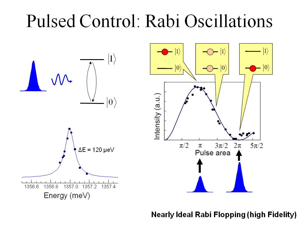 Pulsed Control: Rabi Oscillations