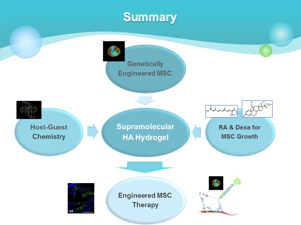 Resources [illinois] Translational Nanomedicines Using