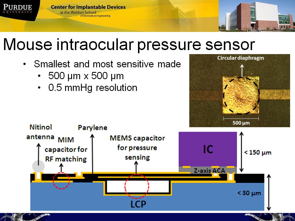 Mouse intraocular pressure sensor