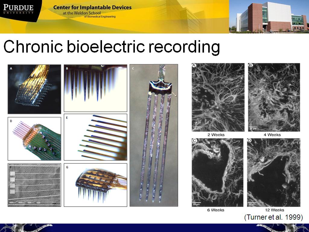 Chronic bioelectric recording