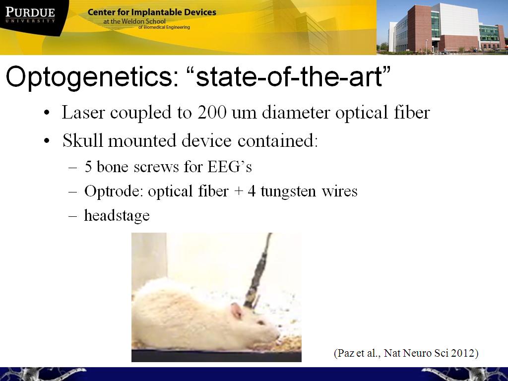 Optogenetics: 