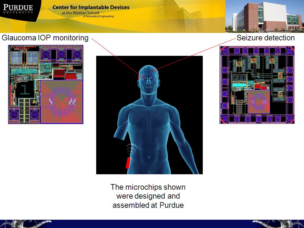 The microchips shown were designed and assembled at Purdue