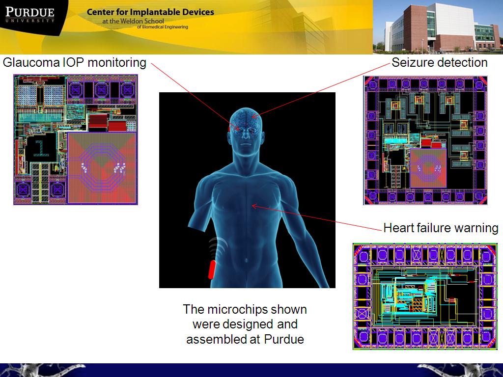 The microchips shown were designed and assembled at Purdue