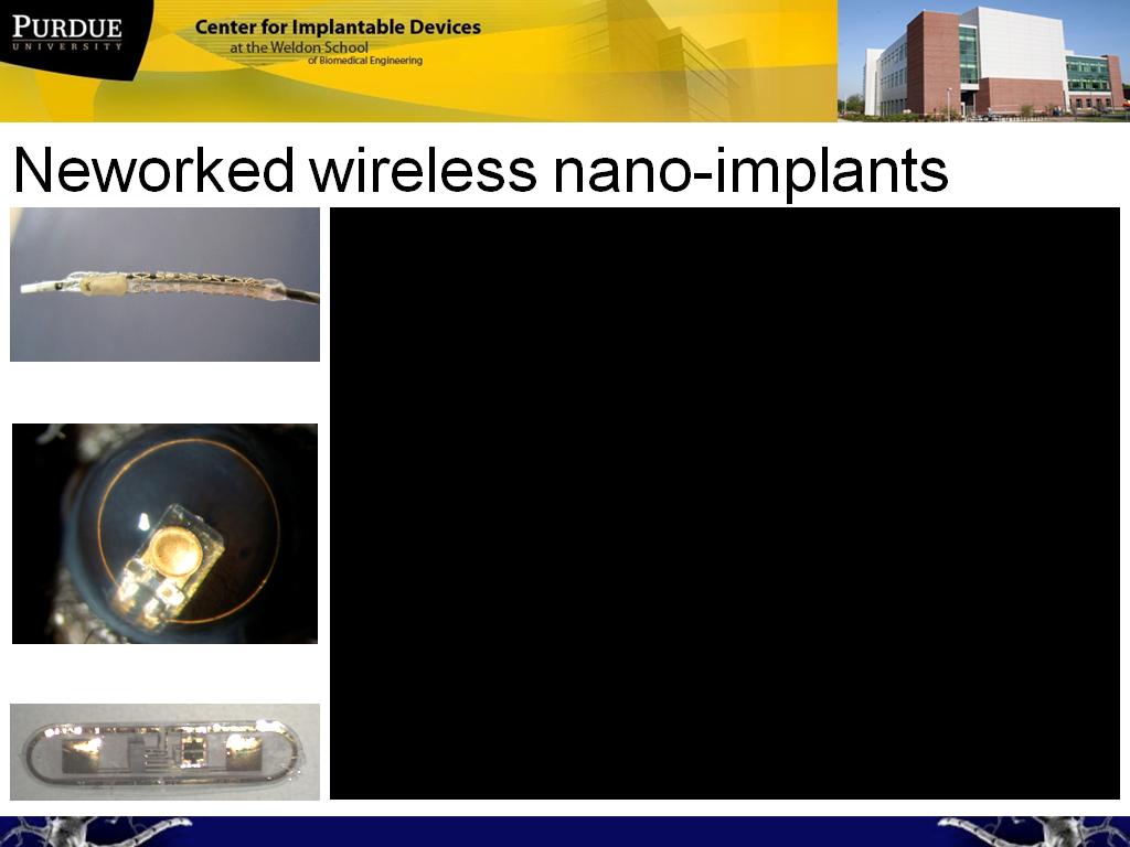 Neworked wireless nano-implants