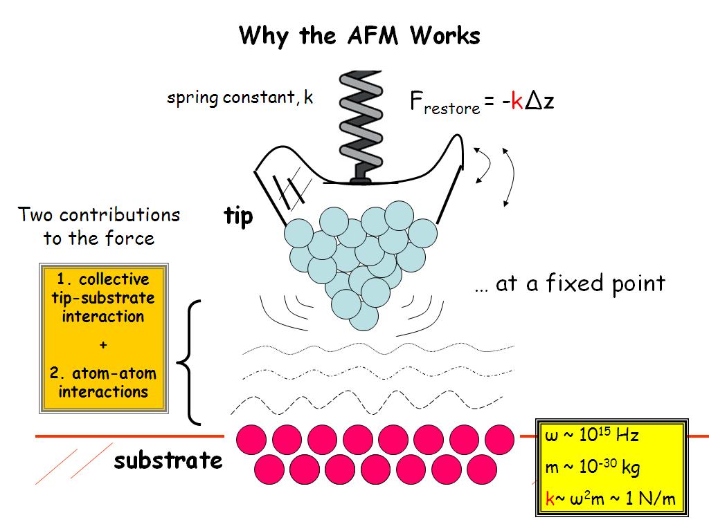 Why the AFM Works