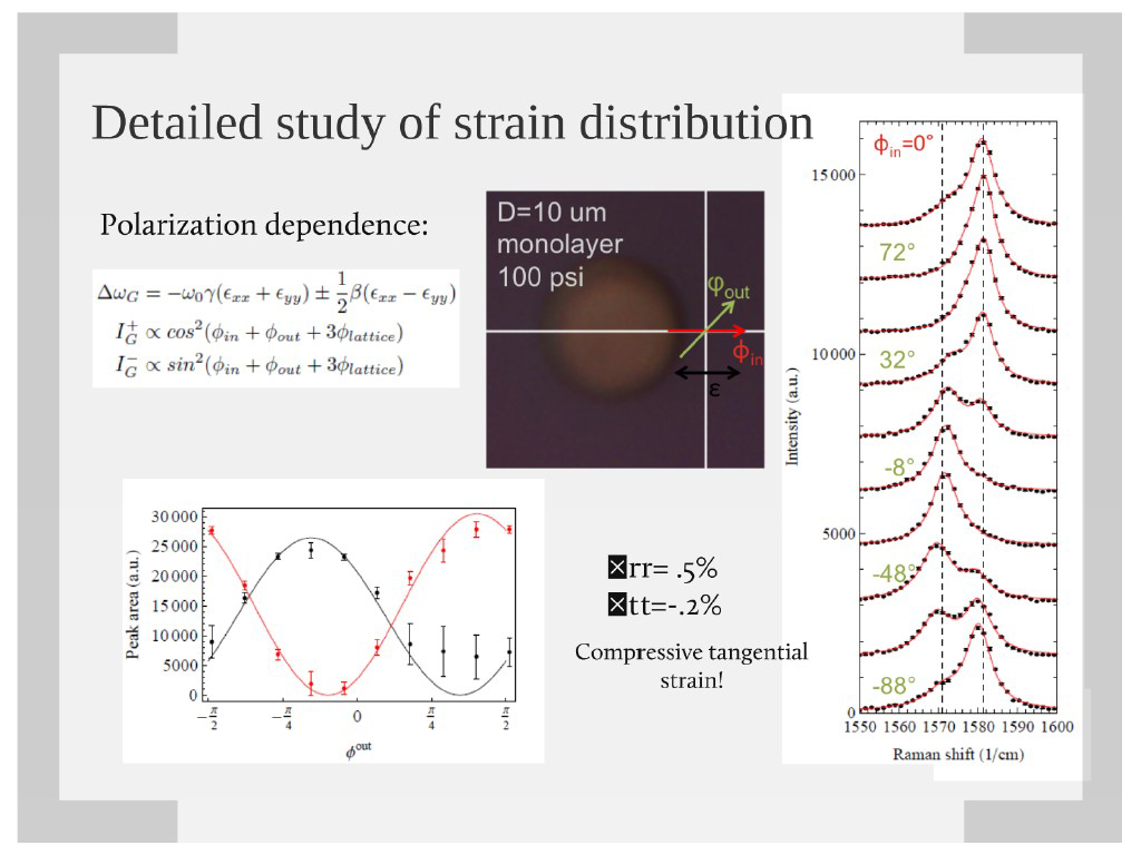 Detailed study of strain distribution