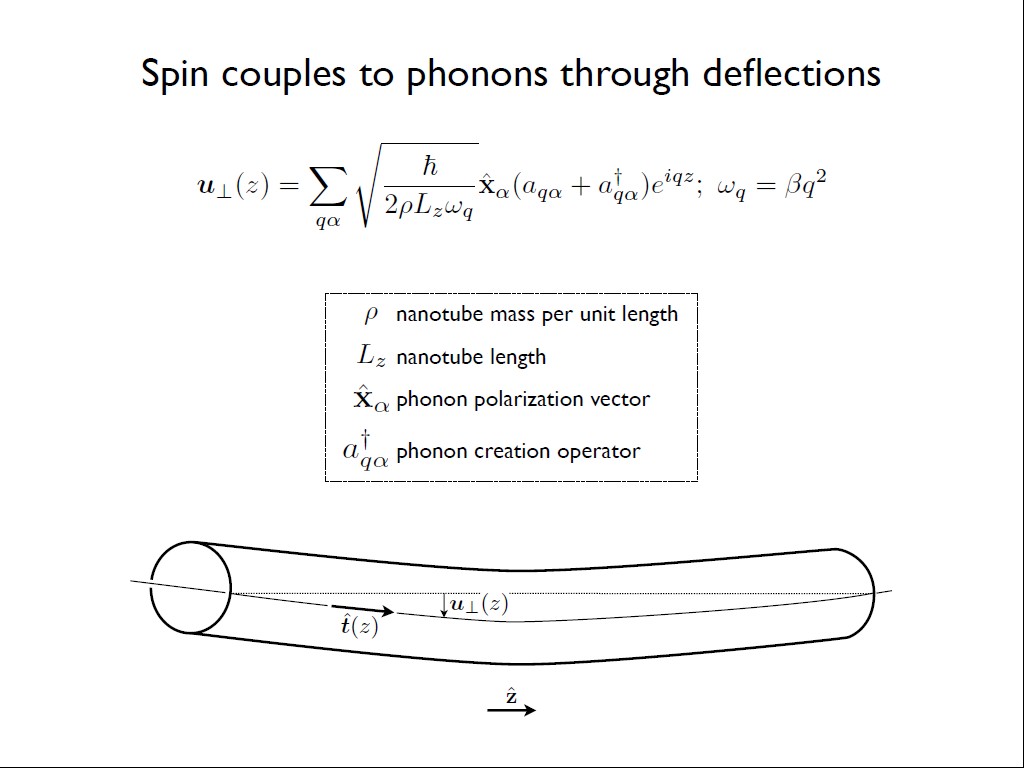 Spin couples to phonons through deﬂections