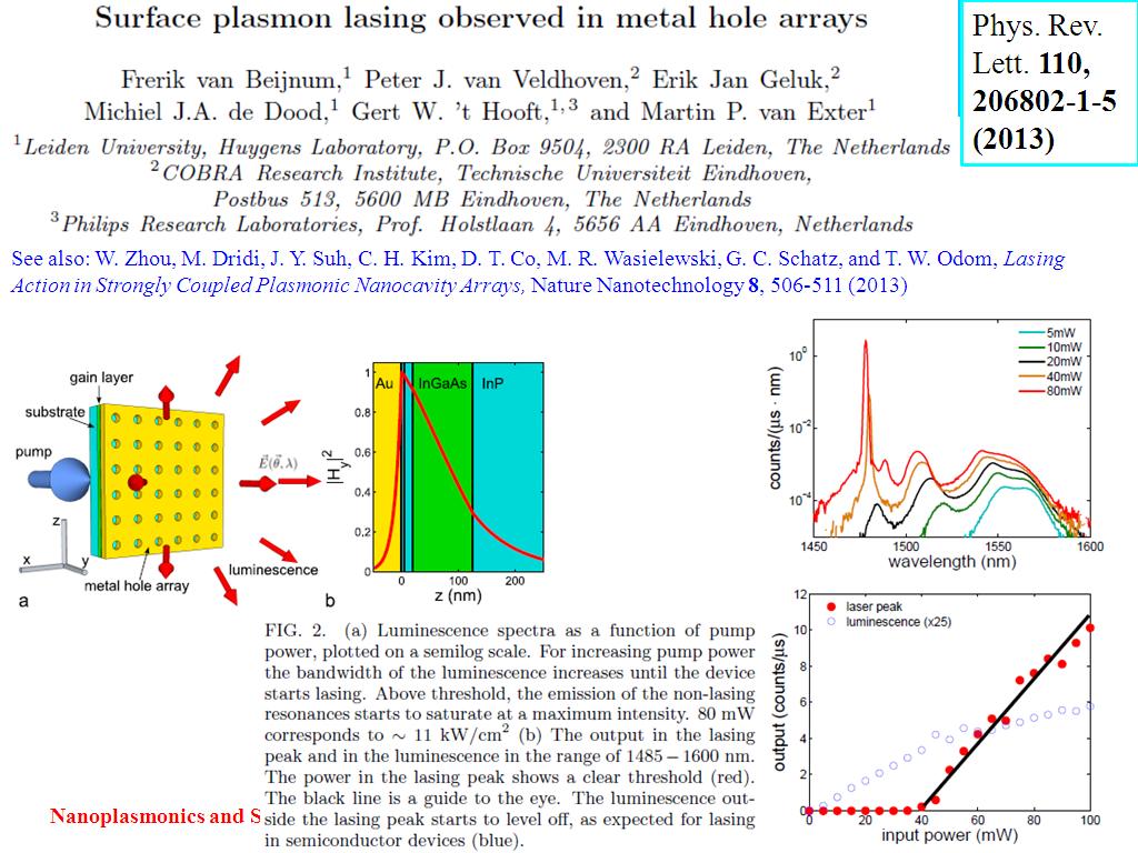 Surface plasmon lasing observed in metal hole arrays