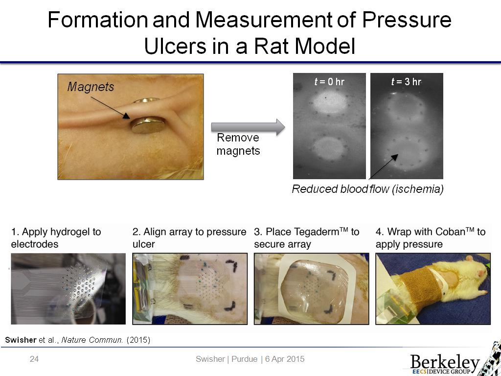 Formation and Measurement of Pressure Ulcers in a Rat Model