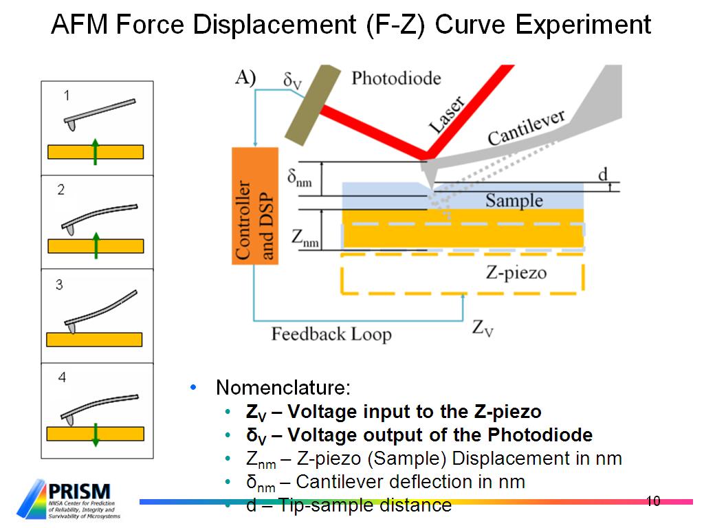 AFM Force Displacement (F-Z) Curve Experiment
