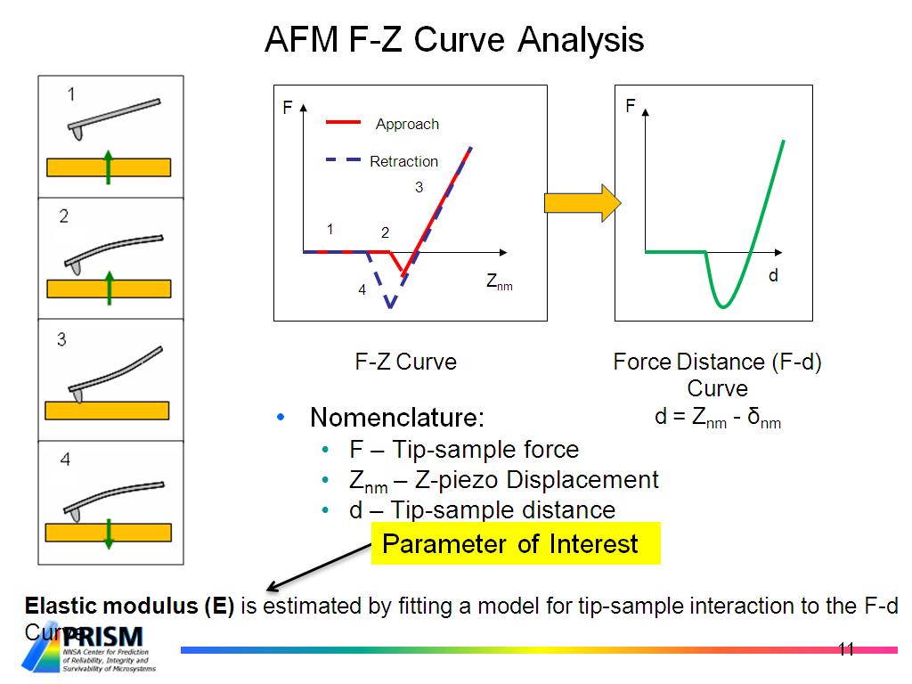 AFM F-Z Curve Analysis