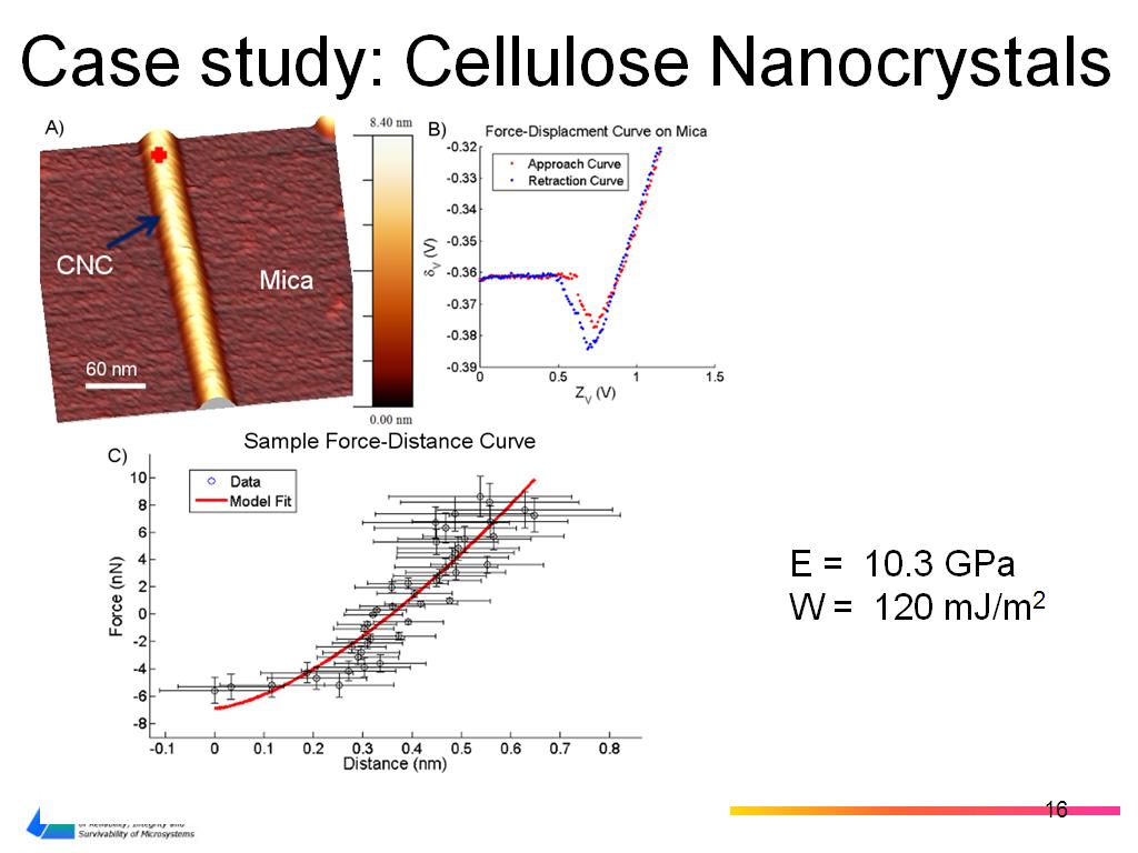 Case study: Cellulose Nanocrystals