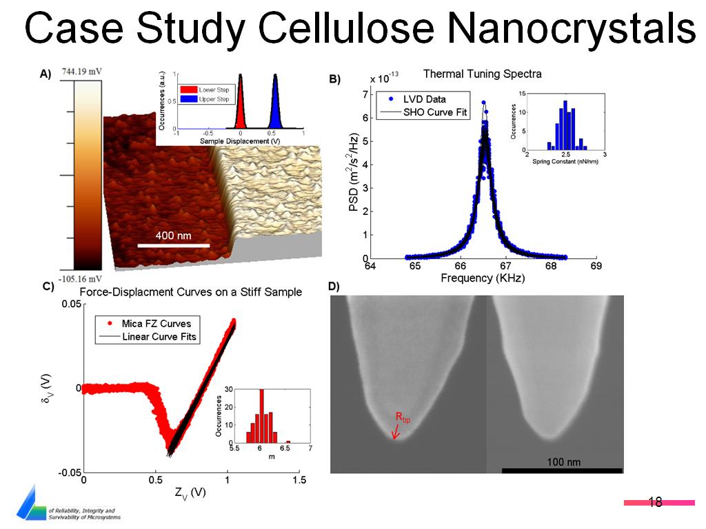Case Study Cellulose Nanocrystals