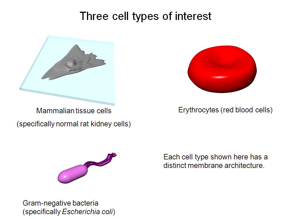 Three cell types of interest
