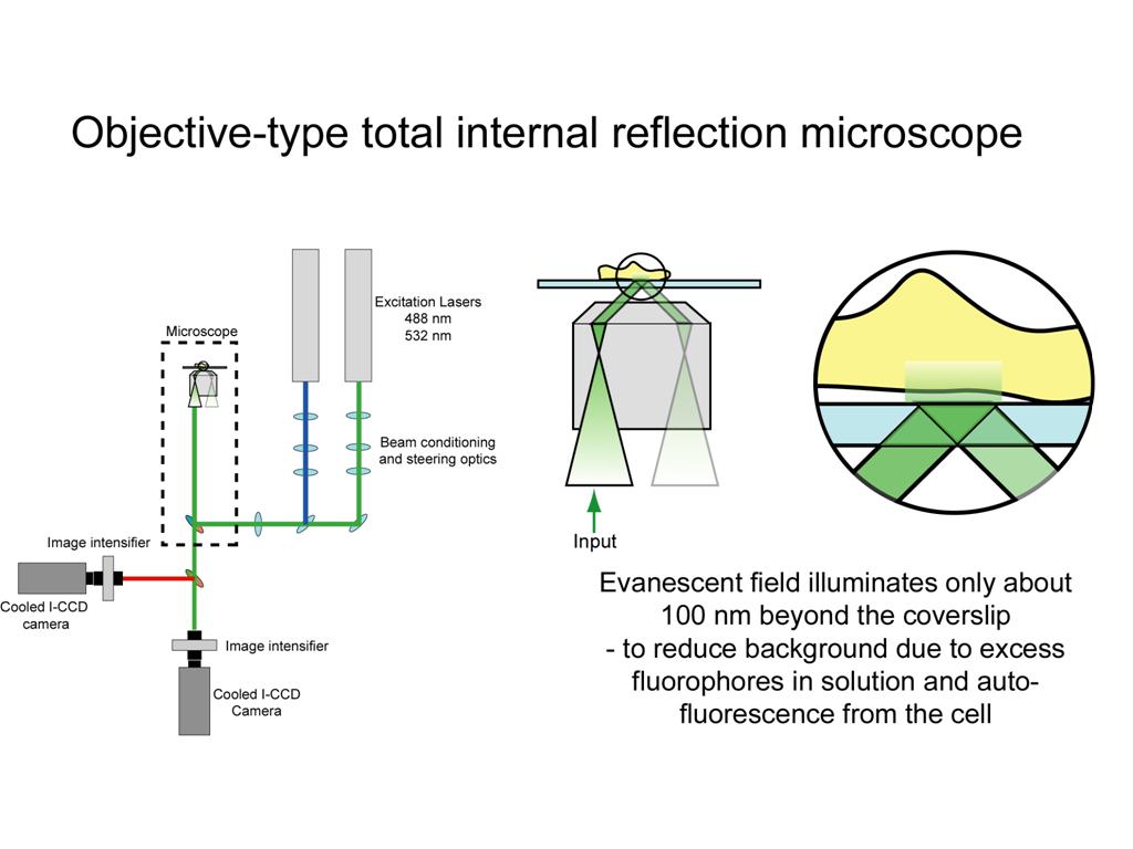 Objective-type total internal reflection microscope