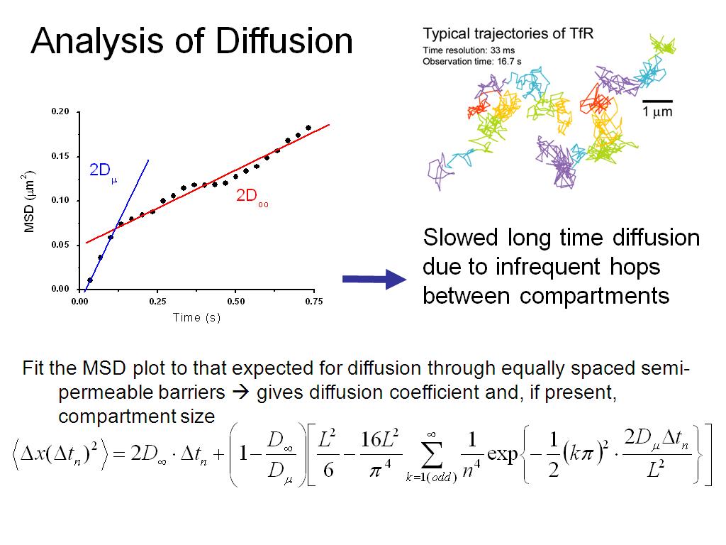 Analysis of Diffusion