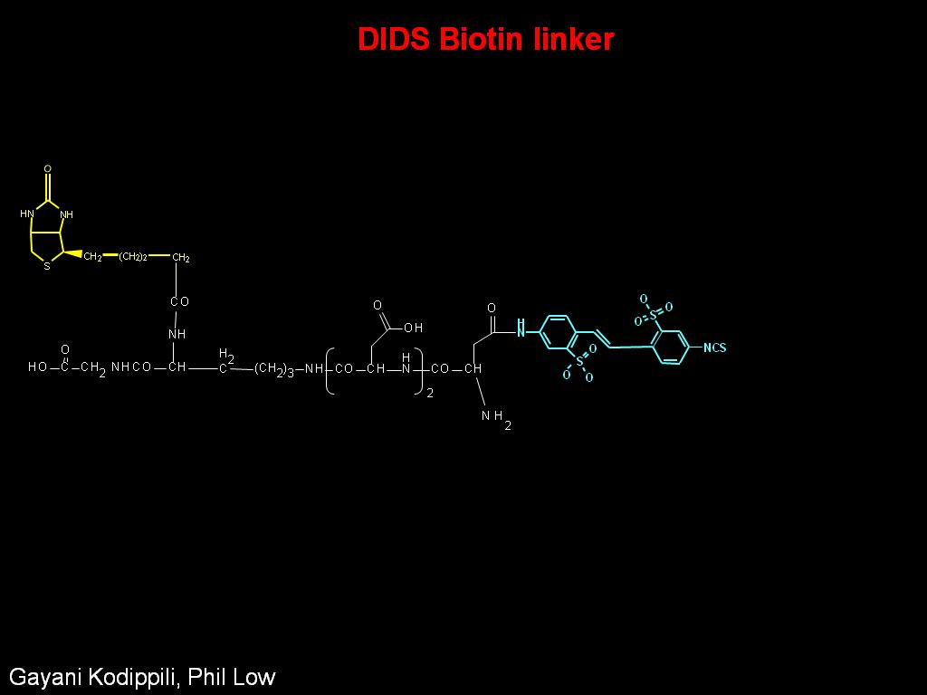 DIDS Biotin linker