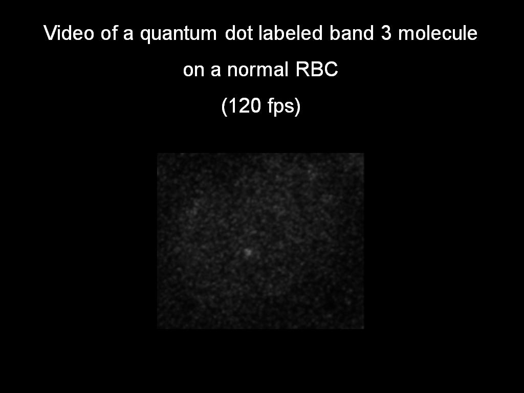 Video of a quantum dot