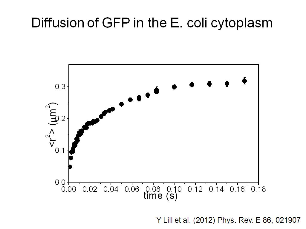 Diffusion of GFP in the E. coli cytoplasm