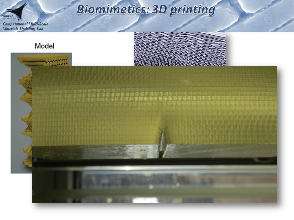 biomimetic 4d printing