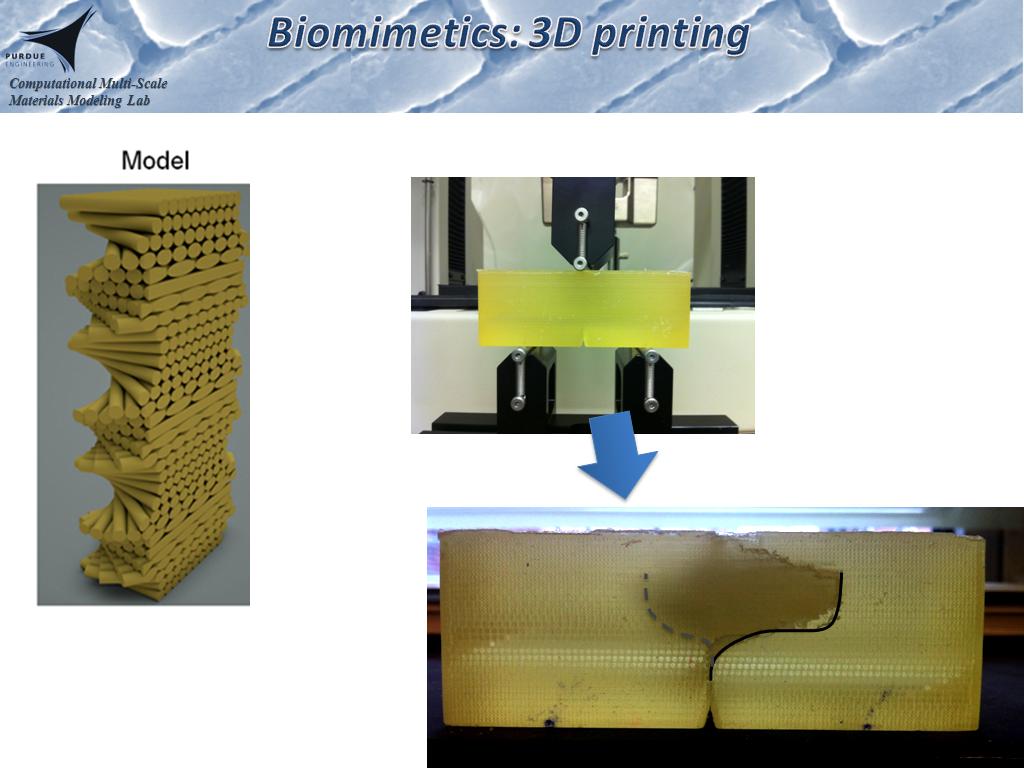 biomimetic 4d printing