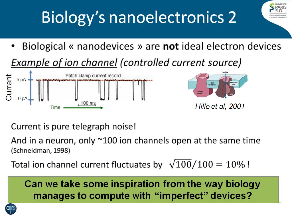 Biology's nanoelectronics 2