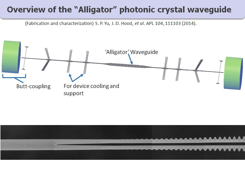 Overview of the Alligator photonic crystal waveguide