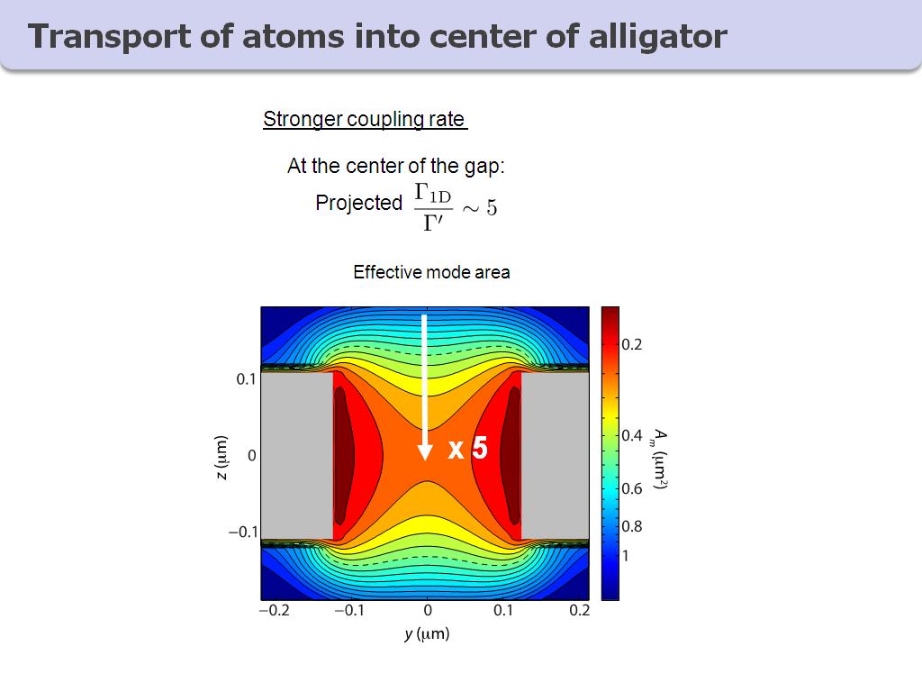 Transport of atoms into center of alligator