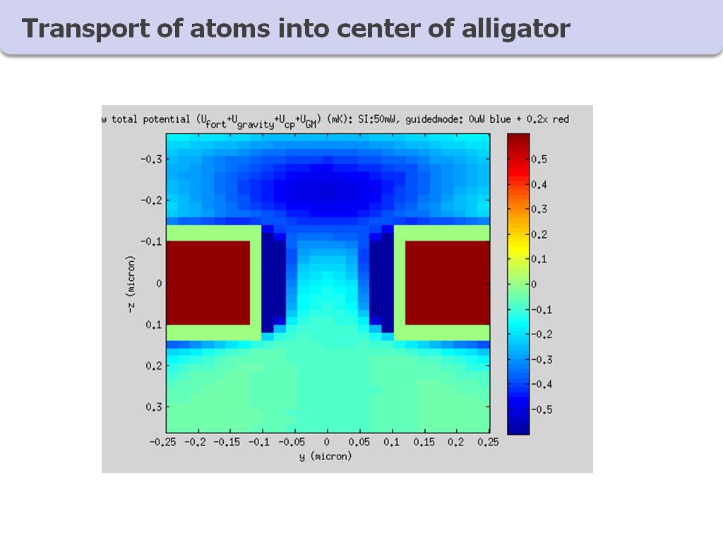 Transport of atoms into center of alligator