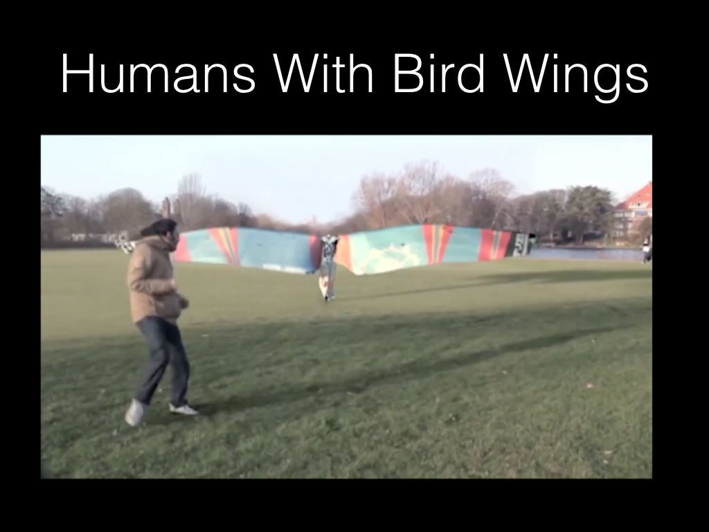 Humans With Bird Wings