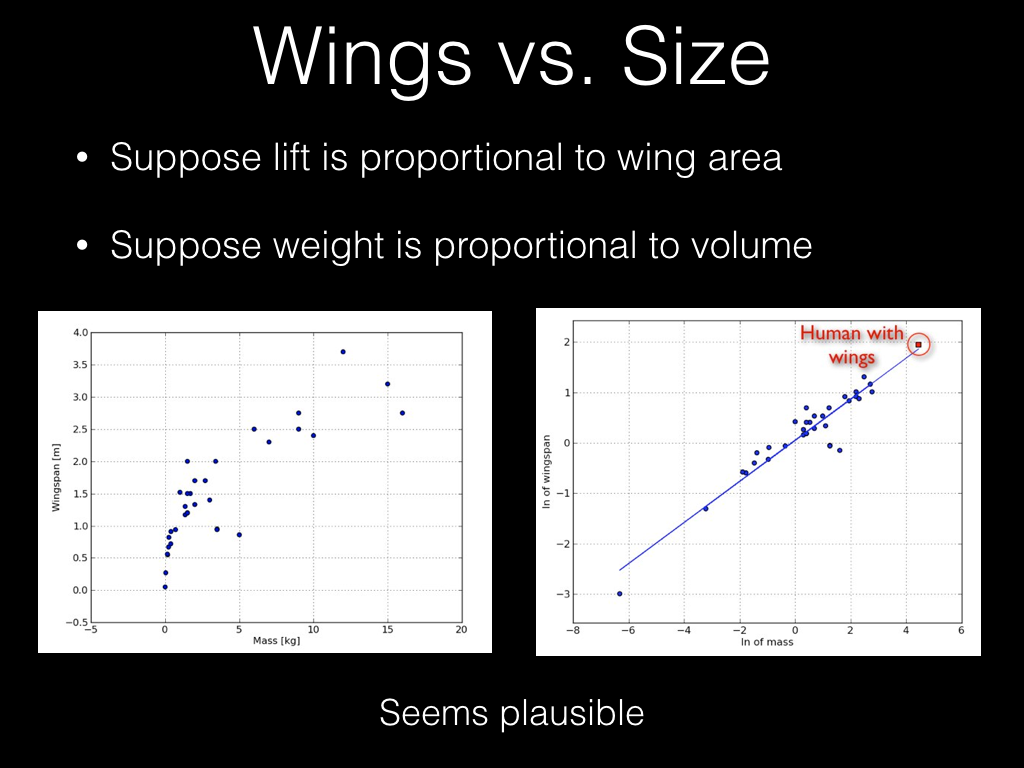 Wings vs. Size