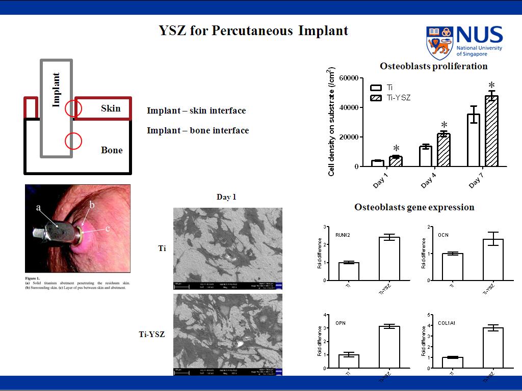 YSZ for Percutaneous Implant