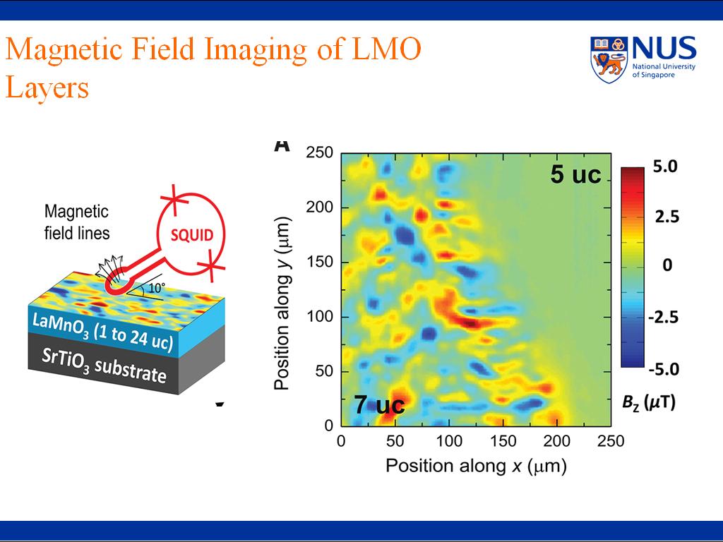 Magnetic Field Imaging of LMO Layers