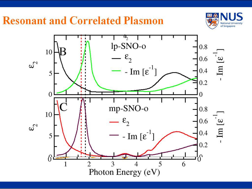 Resonant and Correlated Plasmon