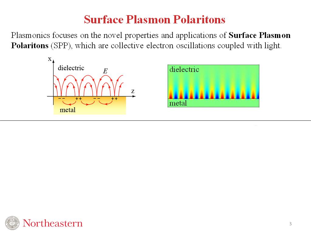 Surface Plasmon Polaritons