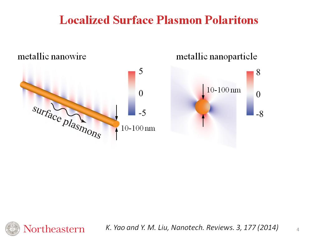 Localized Surface Plasmon Polaritons