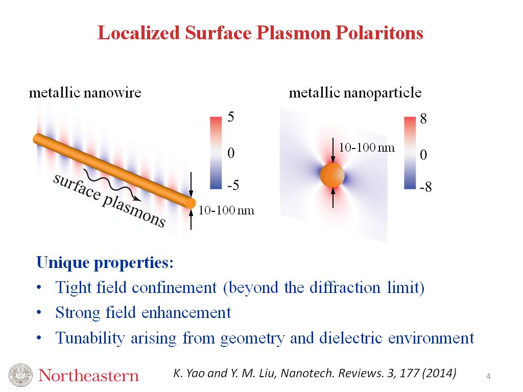Localized Surface Plasmon Polaritons