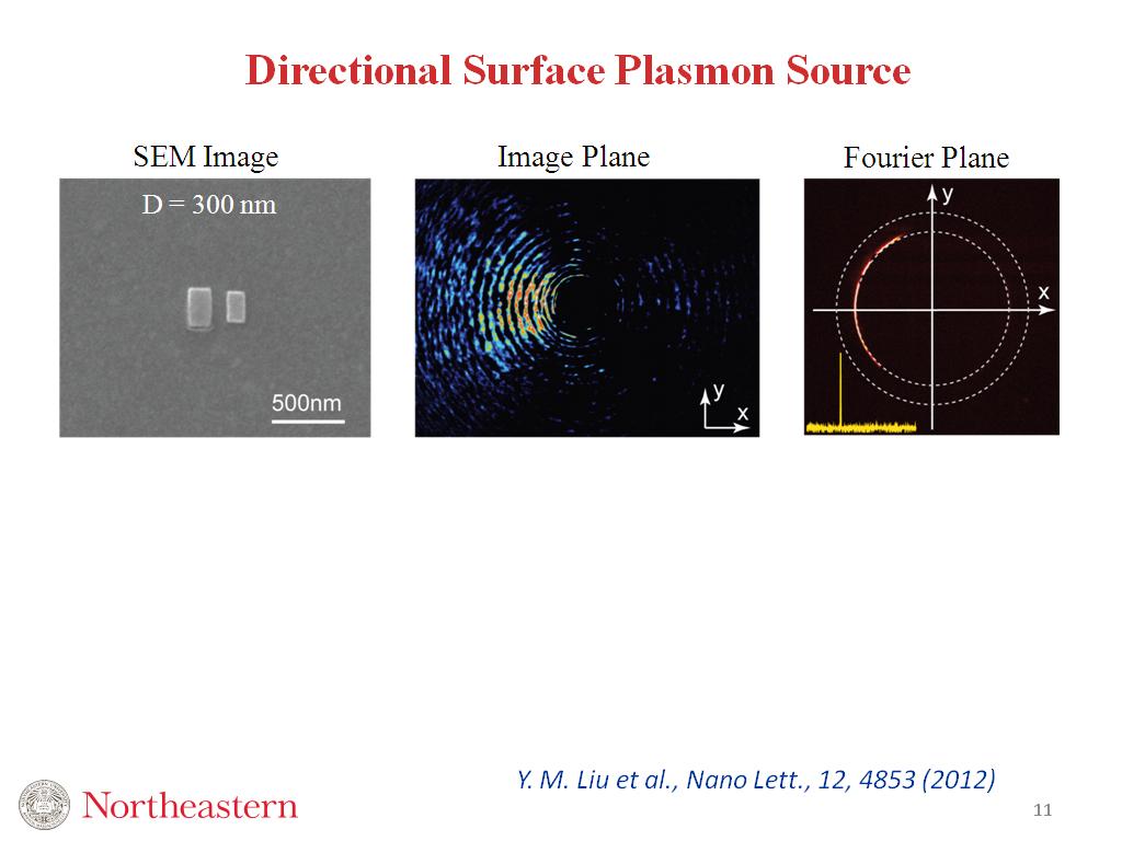 Directional Surface Plasmon Source